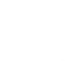 Unilever logo in white
